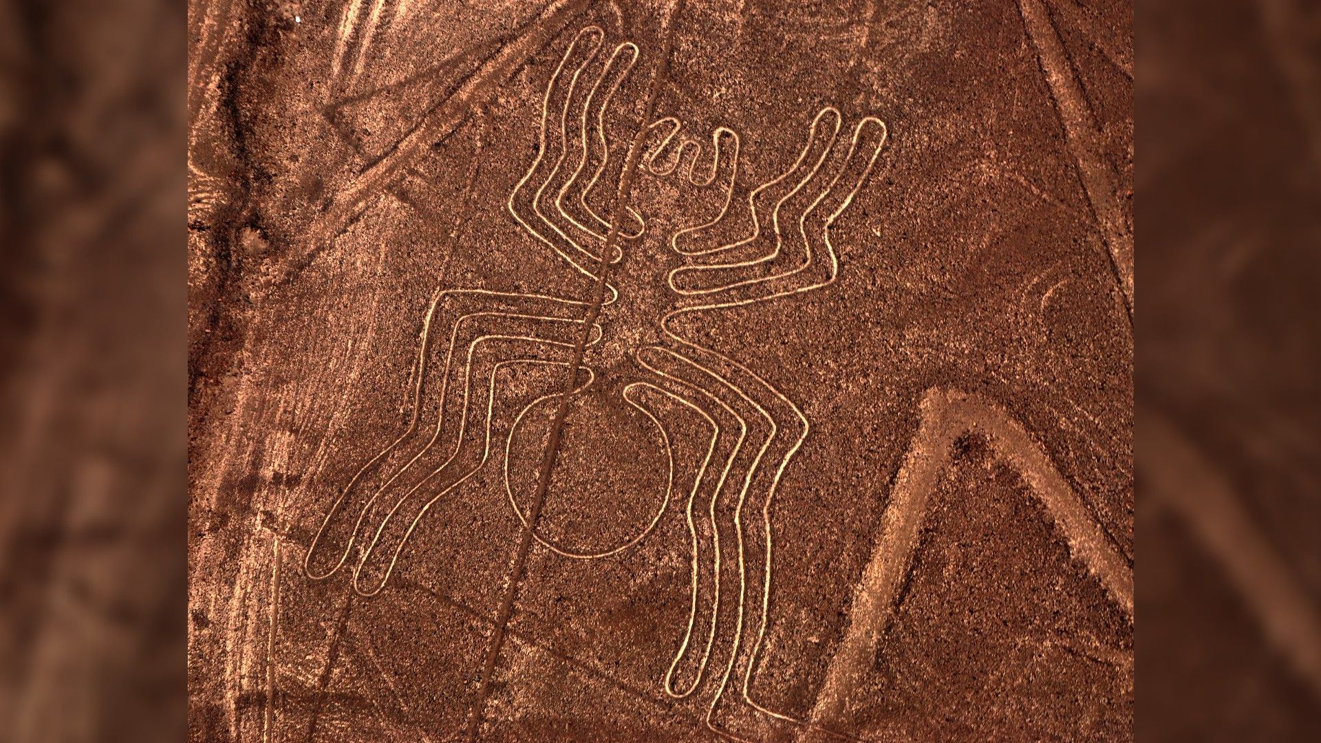 <p>                     Not all of the geoglyphs have direct meanings. Case in point: the spider. Some researchers think ancient people created this line drawing as a plea for rain, according to National Geographic.                   </p>