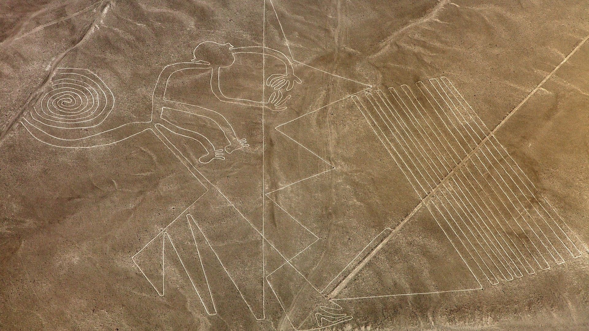 <p>                     Peru's rainforests are teeming with monkeys, so it's no surprise that ancient artists looked to the local fauna for inspiration. However, Maria Reiche, a German archaeologist and astronomer who studied the Nazca Lines extensively, proposed that the coil-tailed mammal represented the constellation Ursa Major, also known as the "Great Bear," according to The Independent. Over time, experts concluded that the monkey was never used for studying the cosmos, but Reiche's proposal sparked new interest in the geoglyphs.                   </p>