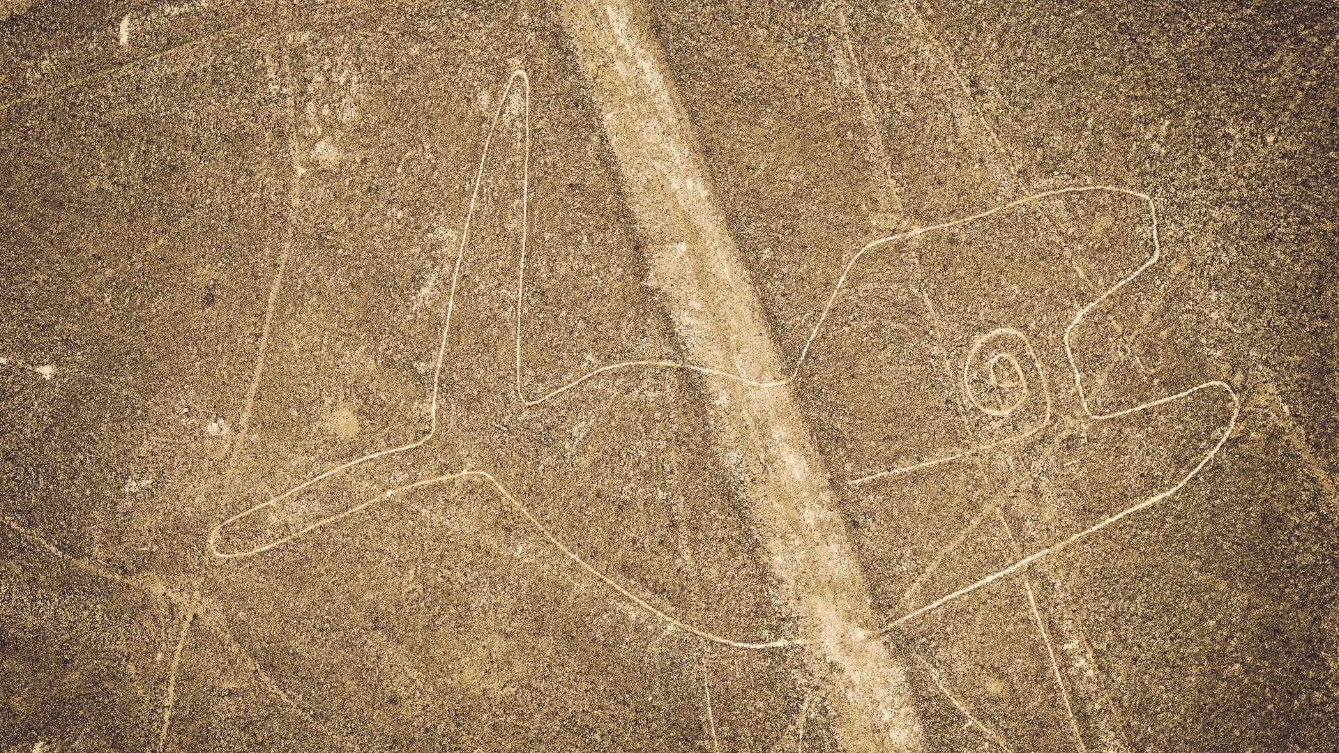 <p>                     The well-defined flippers and fluke (tail) make it obvious that this drawing shows a whale. The Nazca were particularly enamored with these majestic creatures, often carving their likeness into pottery, according to the American Museum of Natural History.                    </p>