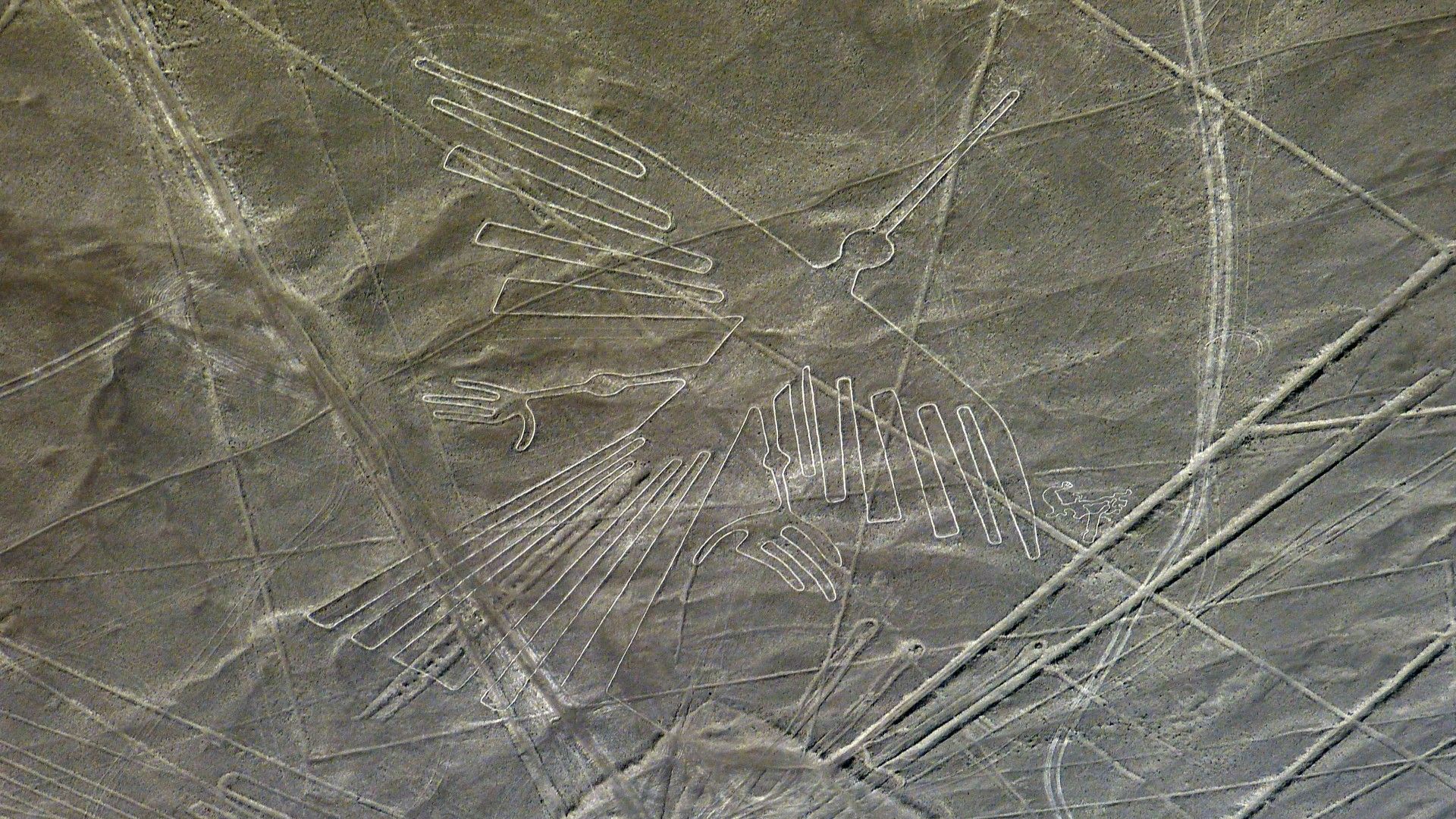 <p>                     There are several geoglyphs inspired by birds, including this condor, which, at 440 feet (134 m) long, is one of the largest works in the desert, according to Nazca Lines Tour.                   </p>