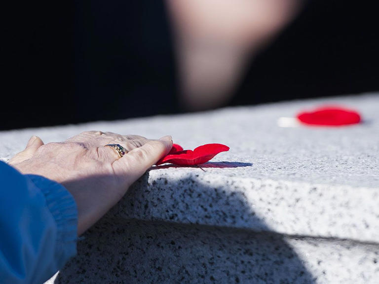 Remembrance day celebrations near me