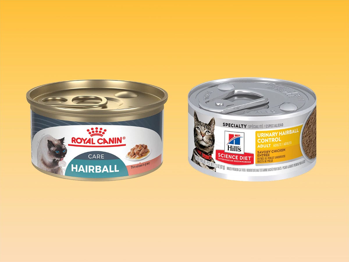 The best cat foods for hairballs in 2024