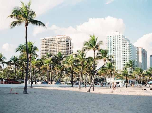Miami Travel Guide: 15 Epic Activities for All Ages