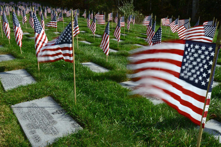 Veterans day free meals in dayton ohio