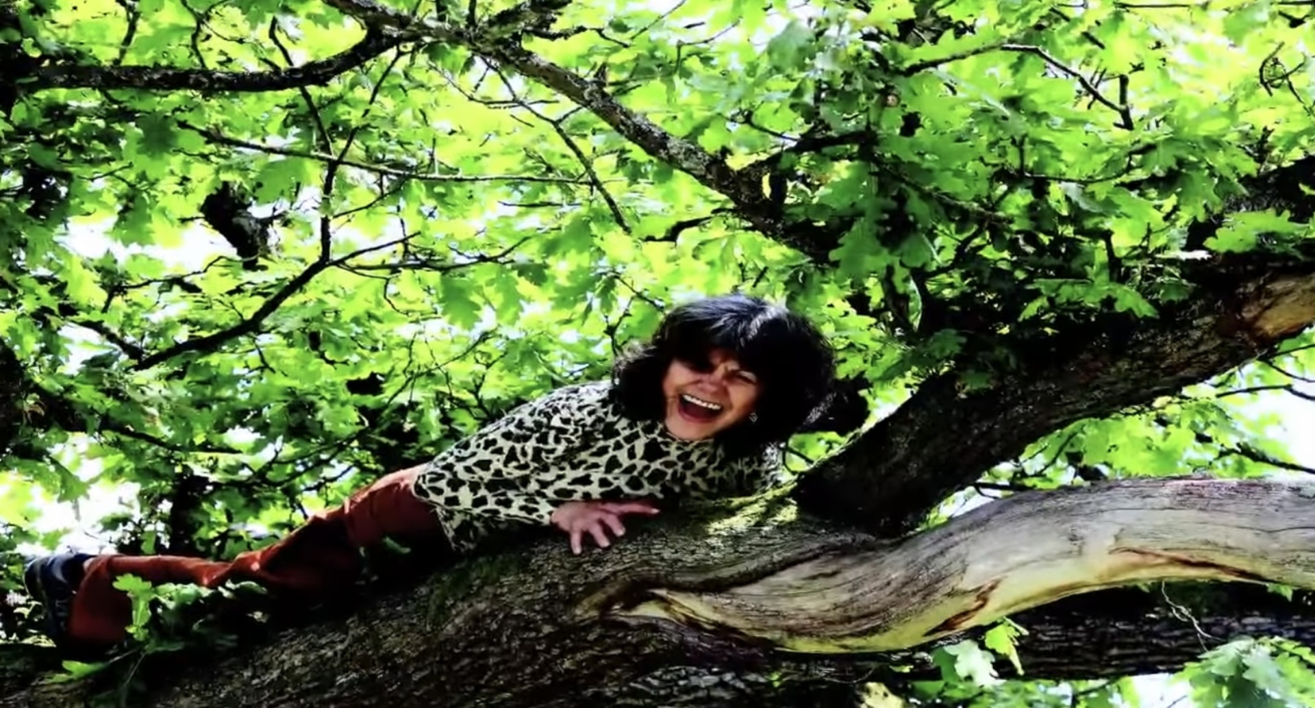 動物に育てられた子どもたち：生い立ちとその後