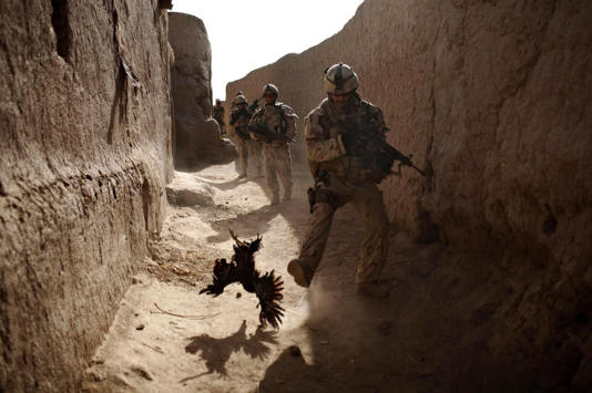 A Canadian soldier with the 1st RCR Battle Group, the Royal Canadian Regiment, chases a chicken seconds before he and his unit were attacked by grenades shot over the wall during a patrol in Salavat, southwest of Kandahar, Afghanistan, on Sept. 11, 2010. (Anja Niedringhaus/The Associated Press)
