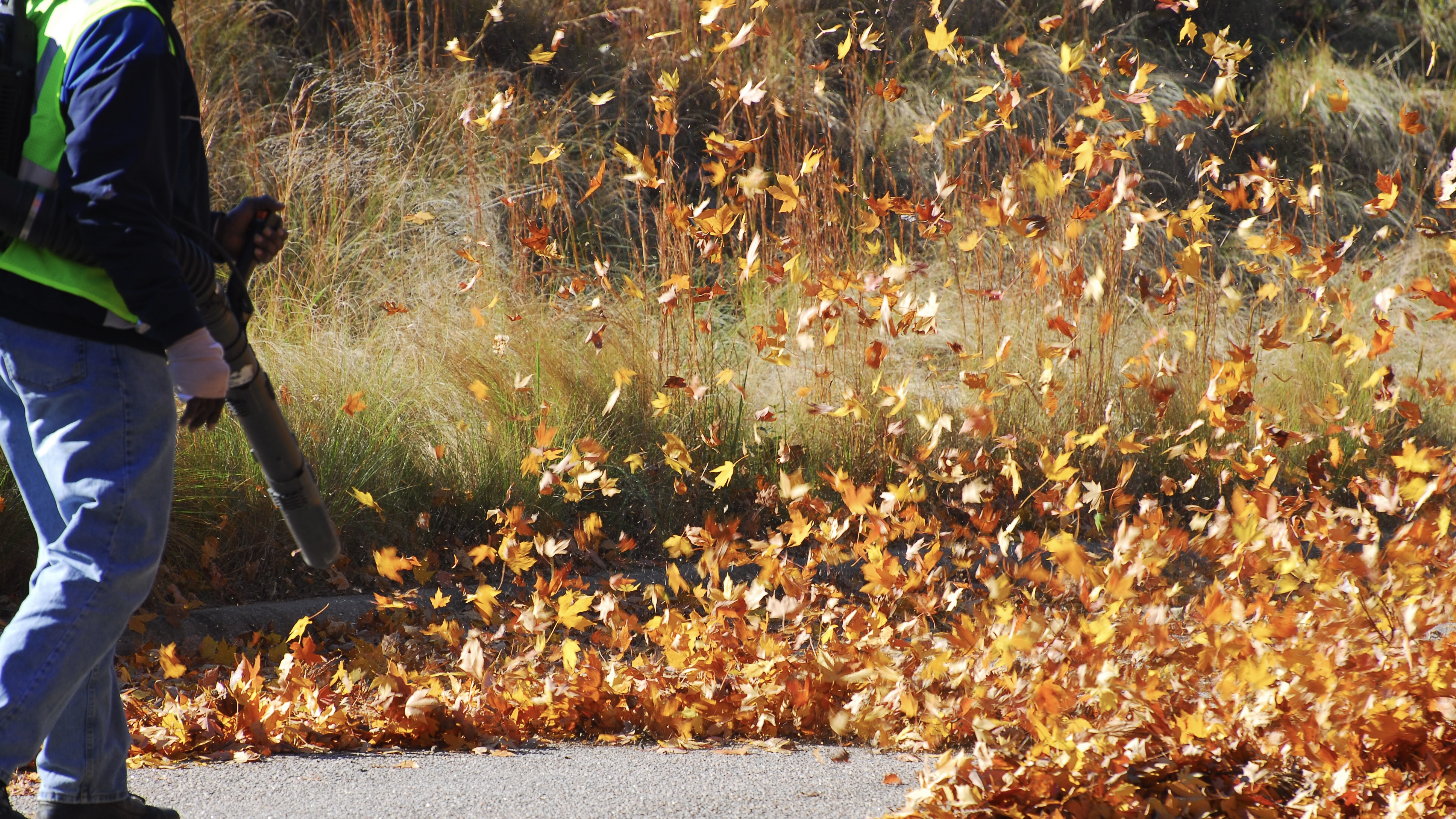 Fall used. Wind blows the leaves. Use a Leaf Blower. Поезд убирающий листву. Уход за дорожками в осенний.