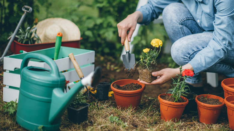 Must-Have Garden Supplies That You Can Find For Less At The Dollar Tree