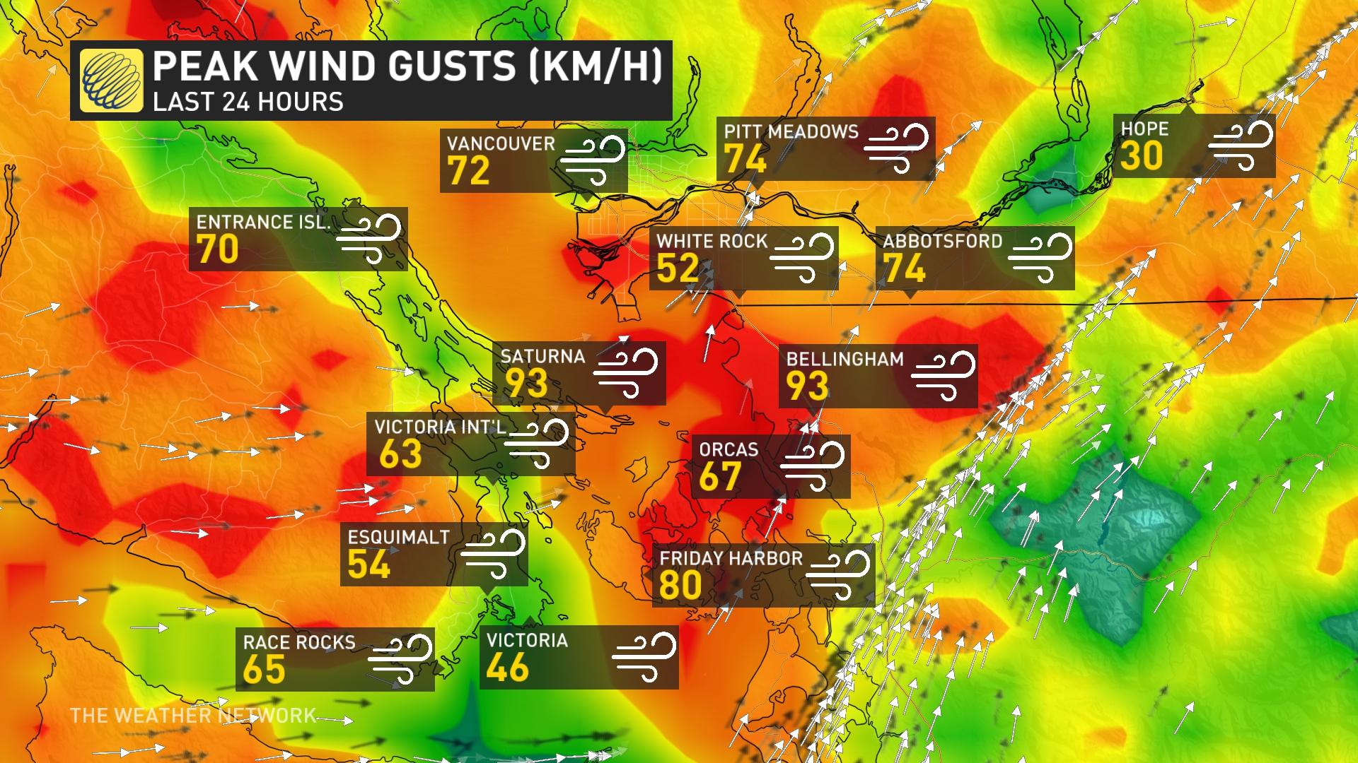 PHOTOS: Winds Bring Major Power Outages In B.C. Amid Disruptive Storm