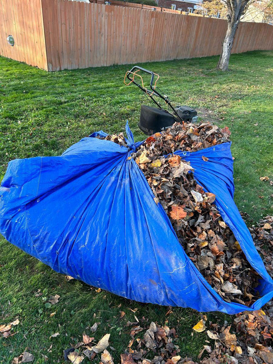If anyone needs leaf removal I can help you here is a job I did ...
