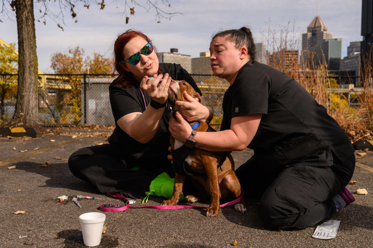 Veterinary technician Casey Garrity, 33, right, and Dr. Amy Kalinauskas, with the Humane Animal Rescue of Pittsburgh, administer vaccines to a dog at a mobile clinic on Thursday, Oct. 26, 2023, in Pittsburgh. The American Veterinary Medical Association recommends pet owners keep their dog vaccines current as a mysterious respiratory canine illness plagues the nation.