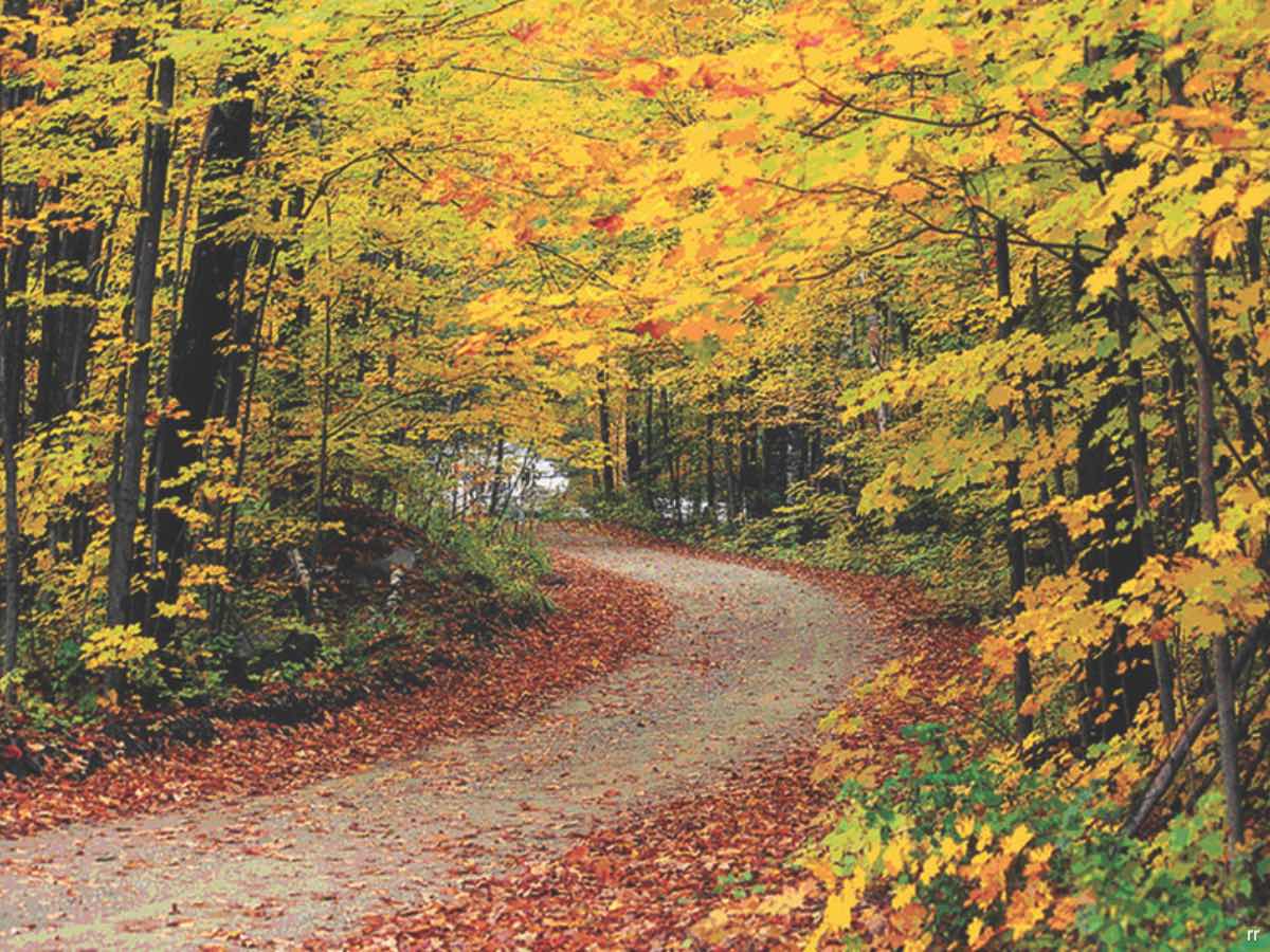 <h4>Vermont</h4>  <p>This 138-mile stretch of road runs through 20 towns across Vermont and the spine of the Green Mountain.  A statewide ban on billboards gives you some of the greatest views you'll ever have of the gorgeous land we inhabit. One of the many RV parks you might check out along the route is <a href="https://www.google.com/url?sa=t&rct=j&q=&esrc=s&source=web&cd=1&cad=rja&uact=8&ved=0ahUKEwixu__cl7fNAhVKTFIKHYMUCJEQFggdMAA&url=http%3A%2F%2Fwww.lazylions.com%2F&usg=AFQjCNEGMGE4vivhU7-i2cvkCfFVJSVHtQ&sig2=KQ39bgylyE_4lGjXXLMavg&bvm=bv.124817099,d.aXo">Lazy Lions</a> located in Graniteville/South Barre. </p>  <p>(Image via <a href="https://en.wikipedia.org/wiki/Green_Mountain_National_Forest">Wikipedia</a>)</p>