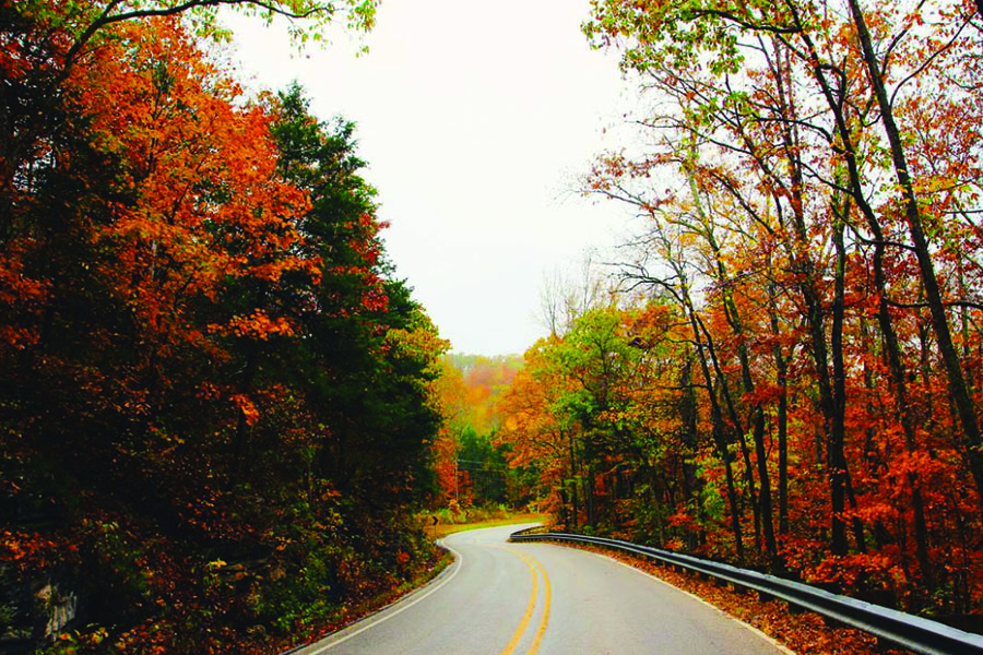 <h4>Highway 21, Arkansas</h4>  <p>There may not be a more beautiful sight than seeing the leaves change colors in the Ozark mountains. If your sense of adventure includes a challenging drive, then the mountain roads should fit the bill. Plus, there is no shortage of fresh air to offer a long needed relief from years in a (possibly) stuffy office.</p>  <p>(Image via <a href="https://www.instagram.com/p/9opo3UEDVB/">Instagram</a>)</p>