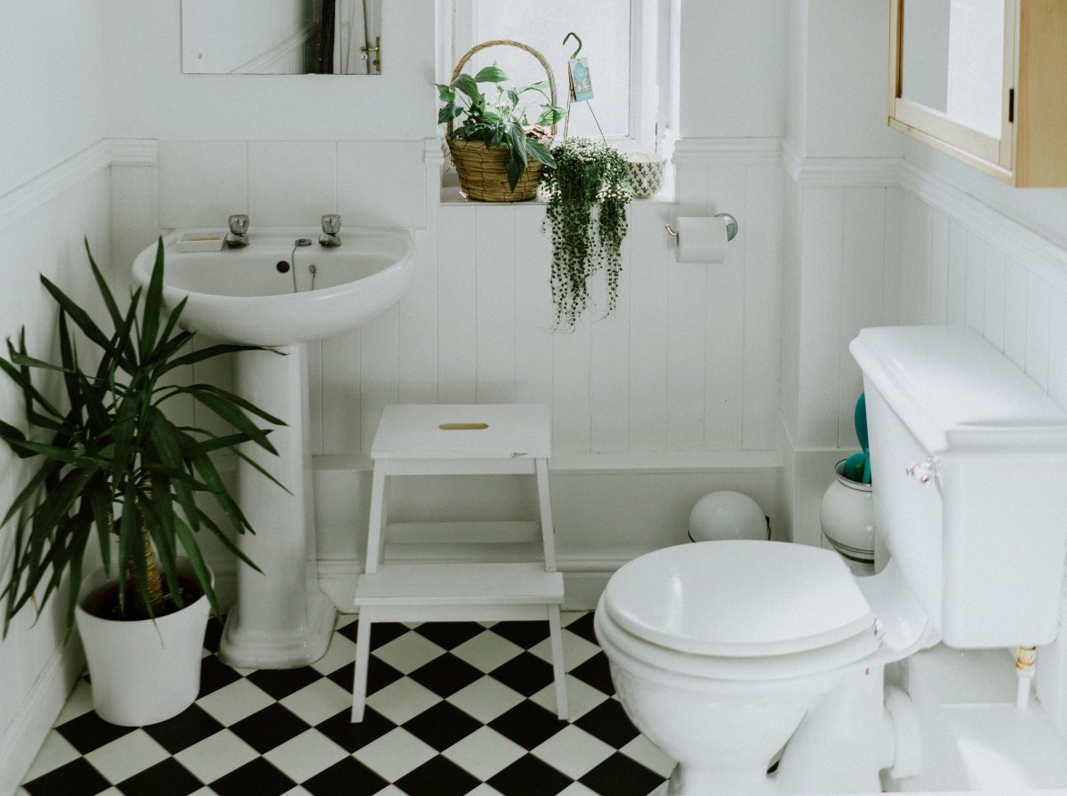 η καλύτερη μέθοδος για να απολυμάνετε το κάθισμα της τουαλέτας με ένα φυσικό υλικό