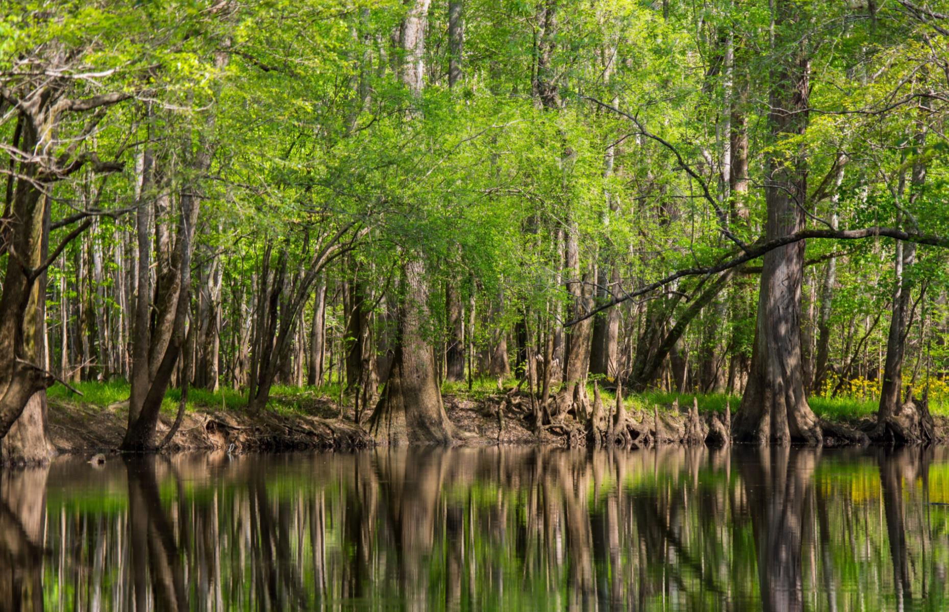 30 hidden gem national parks for charm without the crowds