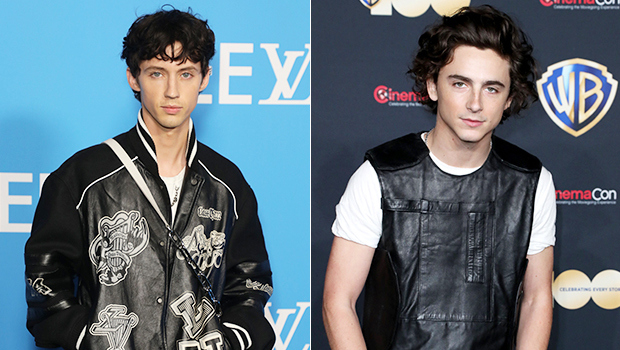 Troye Sivan Responds to Timothee Chalamet’s Impression of Him in ...