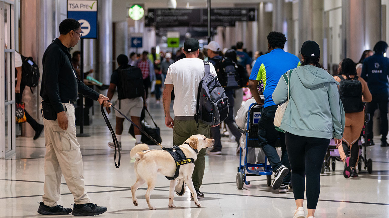 A TSA dog is seen with his handler at the Hartsfield-Jackson Atlanta International Airport on June 30, 2023, in Atlanta. That day was the busiest in TSA history. <a>Elijah Nouvelage/AFP via Getty Images</a>