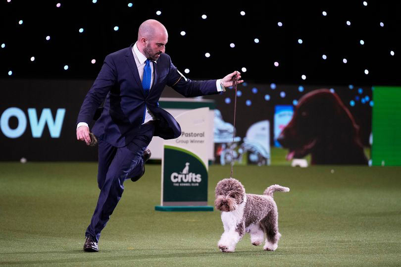 Crufts 2024 dates confirmed as tickets go on sale with 150,000 visitors
