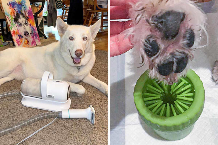 37 Innovative Products To Easily Solve Annoying Pet Problems