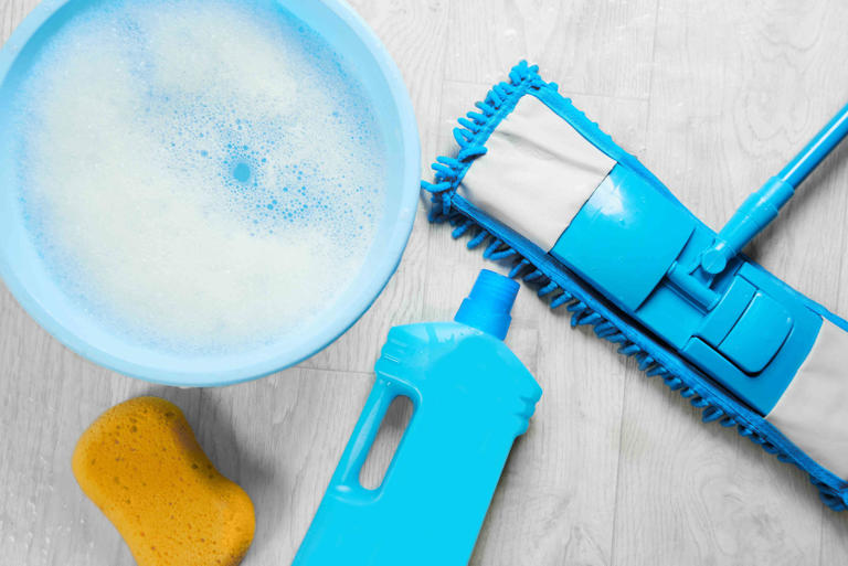 5 Things You Can Put in Mop Water for FreshSmelling, Sparkling Floors