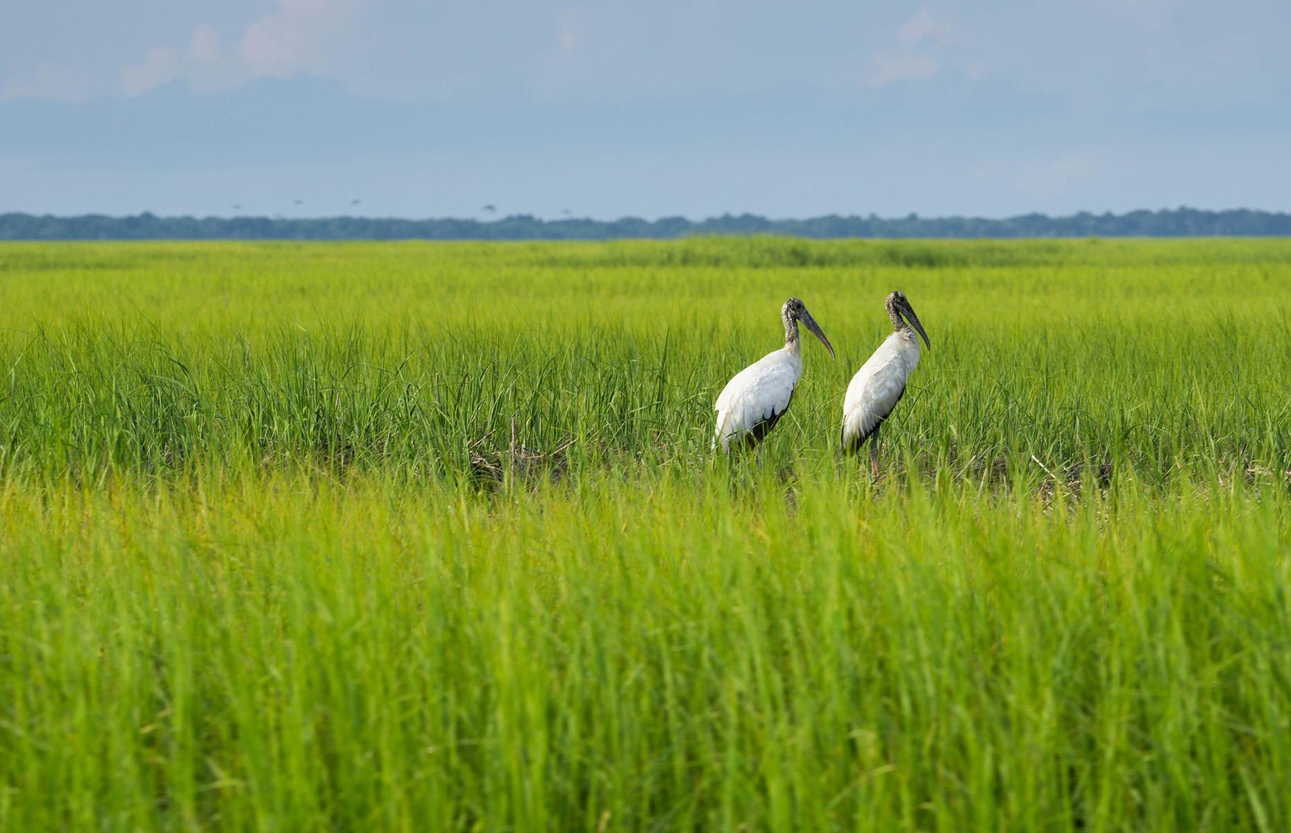 Your State's Most Remote Wilderness Spot
