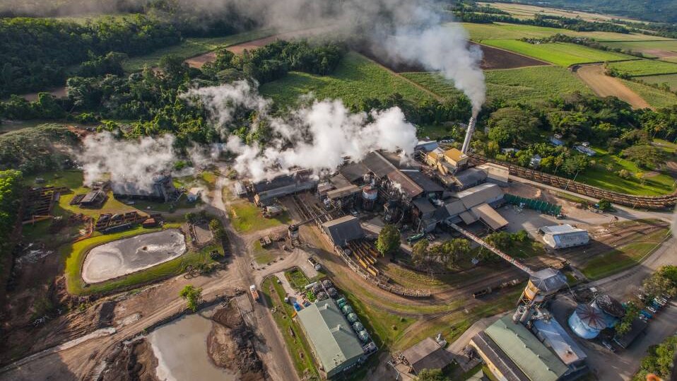 mystery investor offers beleaguered mossman sugar mill a last-minute lifeline