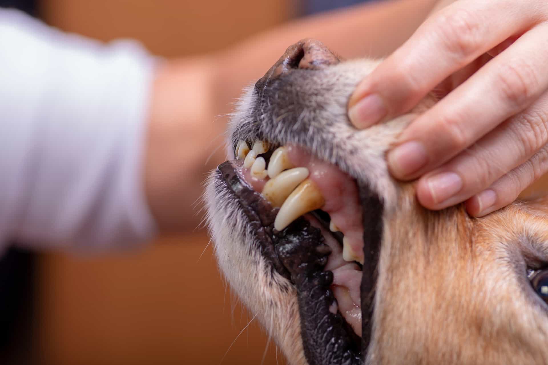 WeWork seeking to exit some Canadian locations as part of bankruptcy