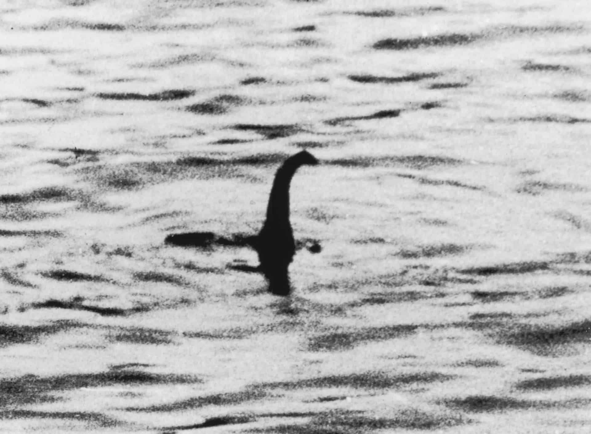 Is Nessie real? Dive into the Loch Ness Monster mystery