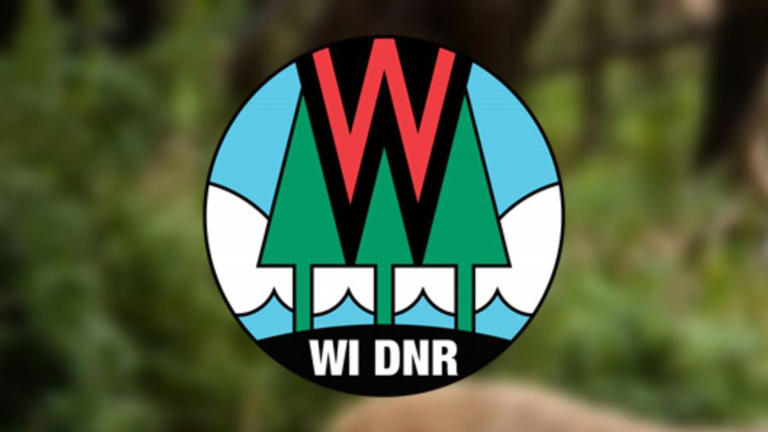 Wisconsin Department of Natural Resources puts new baiting and feeding ...