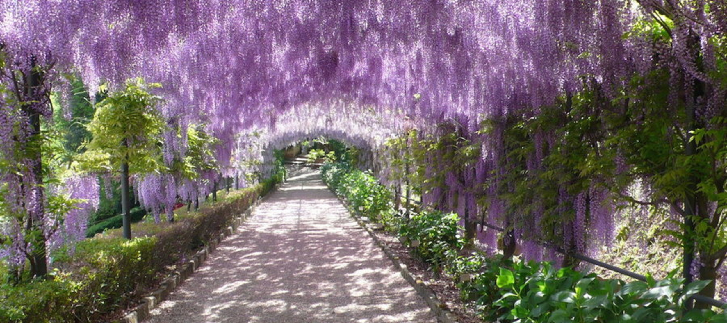 <p><span><span>If you want a slice of nature without actually going to...<em>nature</em>... there's no better place to visit than Giardino Bardini. Lined with olive groves, fountains and wisteria, everything here is tailor-made for relaxation. </span></span></p><p>You may also like: <a href='https://www.yardbarker.com/lifestyle/articles/25_of_julia_childs_most_famous_dishes_103123/s1__21500041'>25 of Julia Child's most famous dishes</a></p>