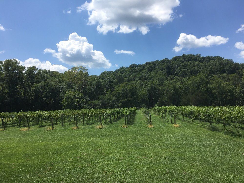 <p>"We loved this quaint little winery. The owners were knowledgable & friendly. We enjoyed a free tasting & stayed & shared a bottle on location. Bought several bottles to take home. A must-visit." - Christine L.</p><p><a class="body-btn-link" href="https://www.yelp.com/biz/railway-winery-and-vineyards-eureka-springs">VISIT</a></p><p>4937 Highway 187Eureka Springs, AR 72631</p>
