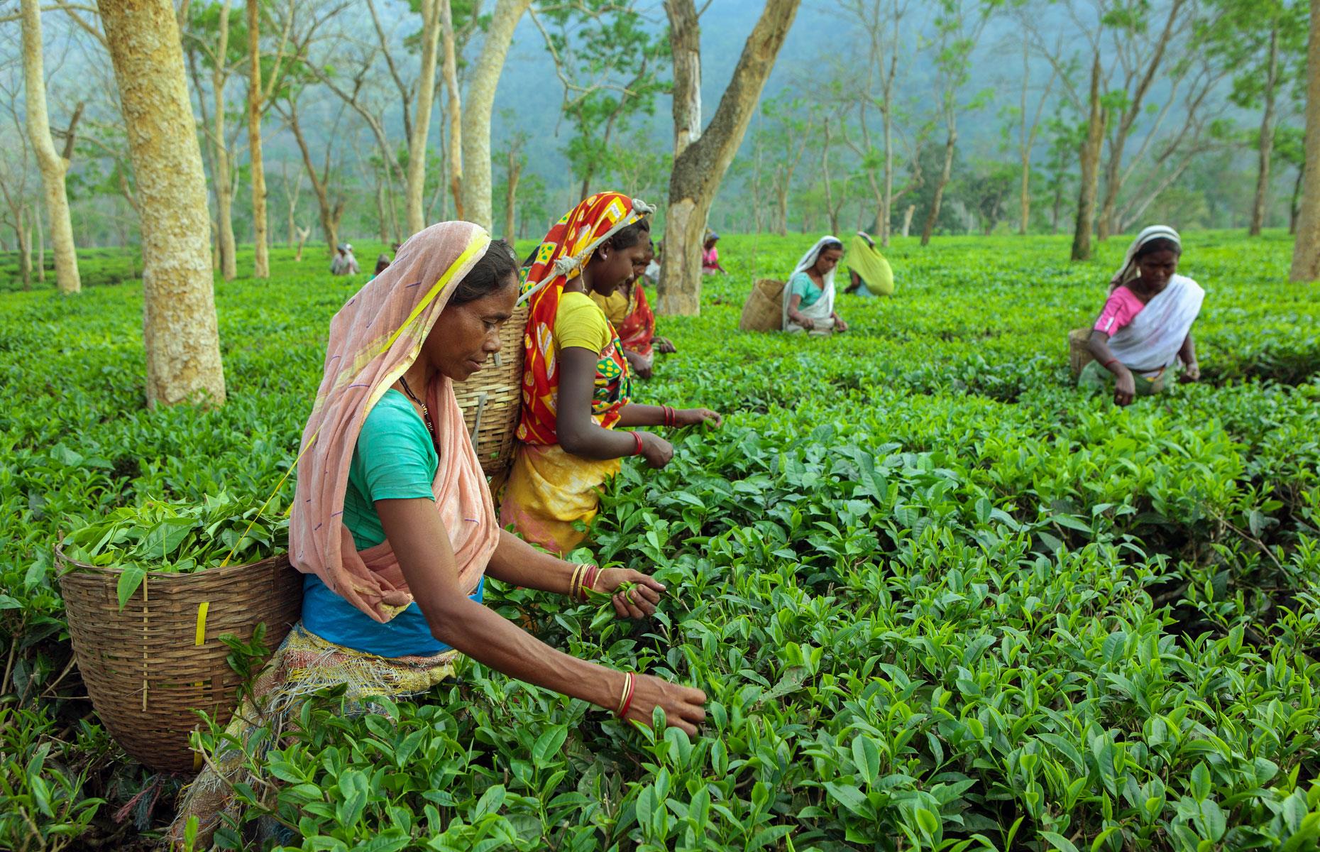 Revealed Where South Africa ranks in the gender pay gap