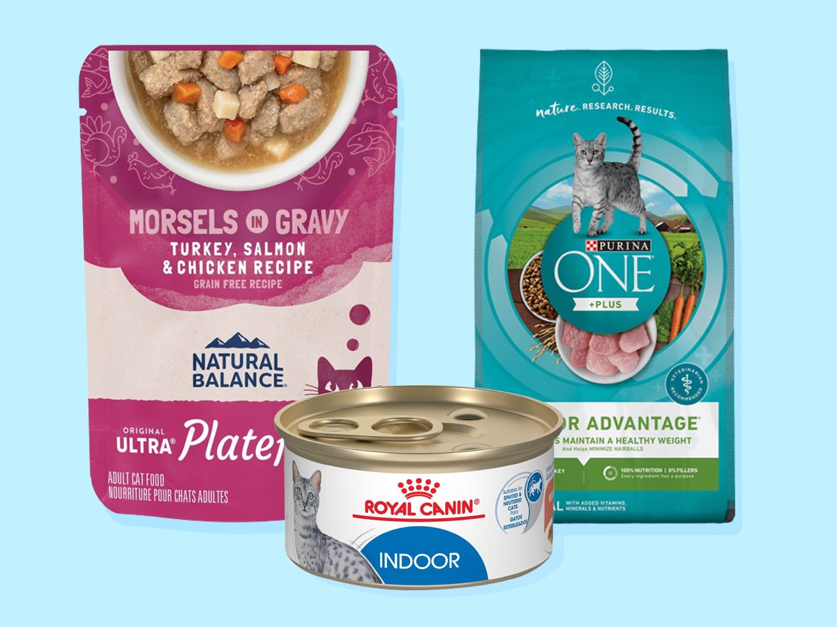 the-best-cat-foods-of-2024-reviewed-with-advice-from-veterinarians