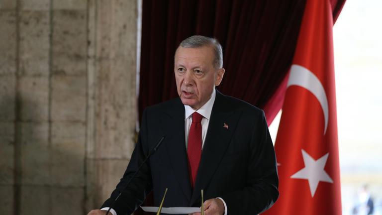 Recep Tayyip Erdoğan: Bijan Djir-Sarai hält Erdoğan-Besuch für »problematisch«