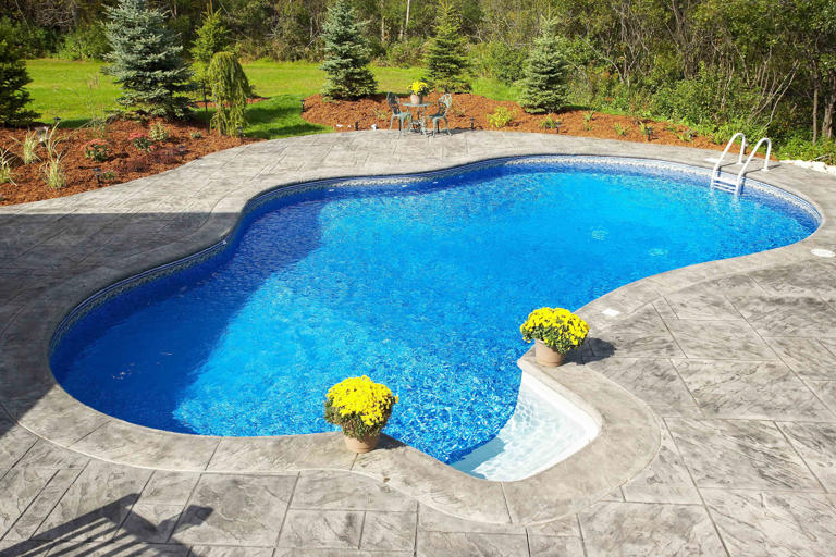 Concrete Pools: Everything You Need to Know