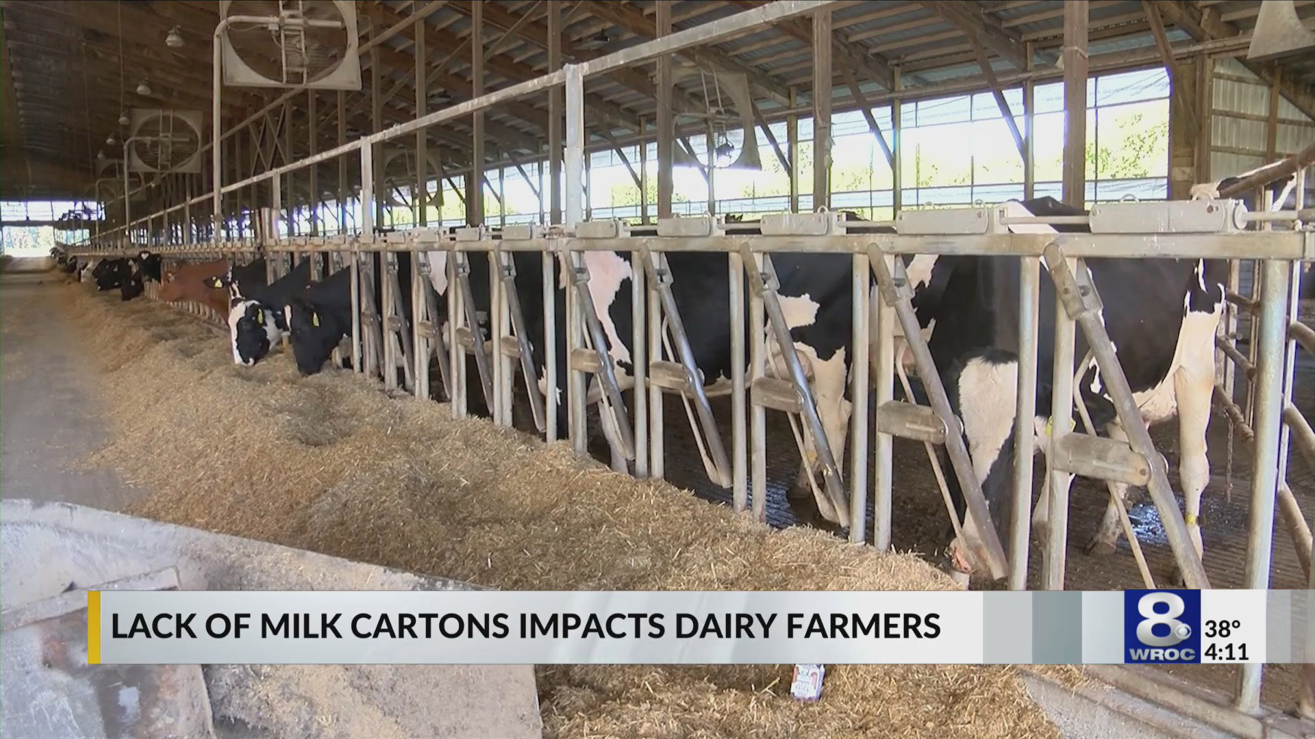 Milk carton shortage How it's impacting dairy farms
