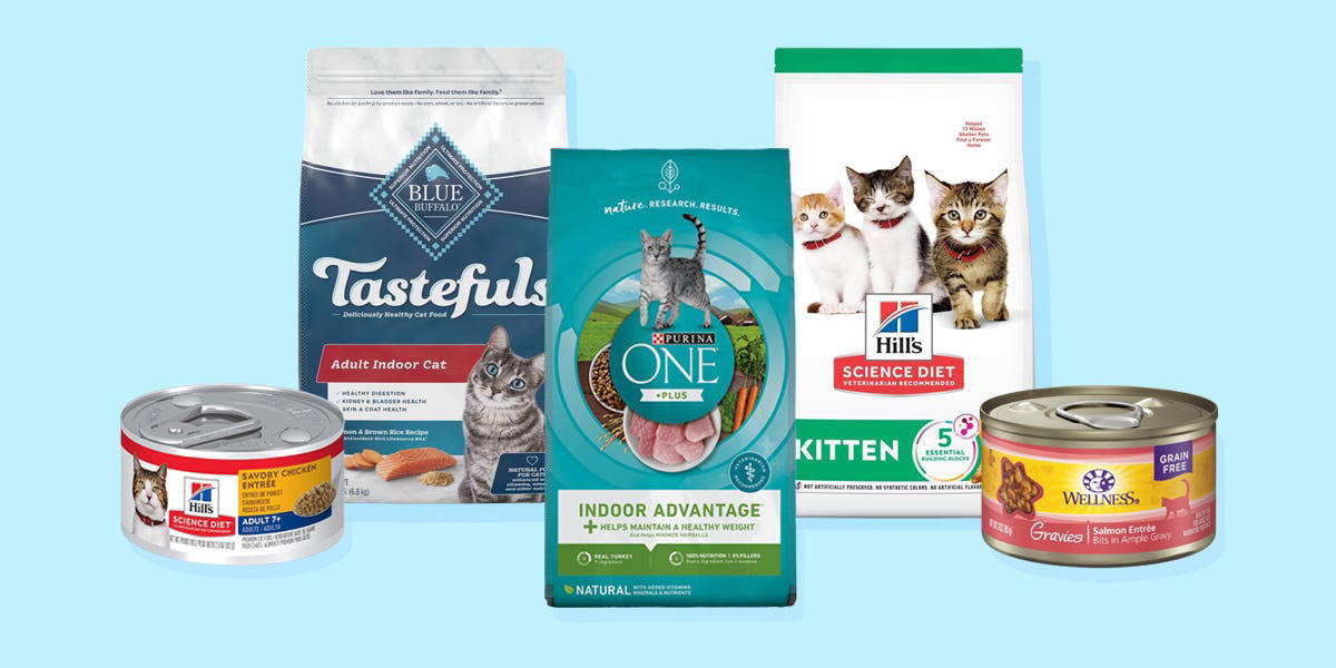 The best cat foods of 2024, reviewed with advice from veterinarians