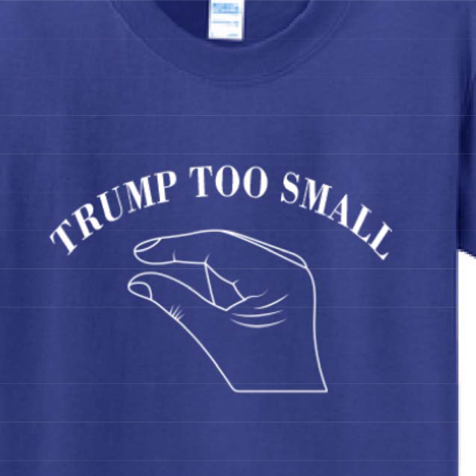 Supreme Court to decide if a California man should be able to trademark the  phrase “Trump too small”
