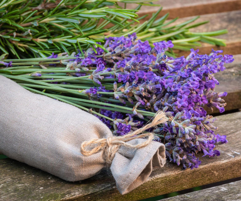 How to dry lavender and enhance its fragrance 4 simple steps