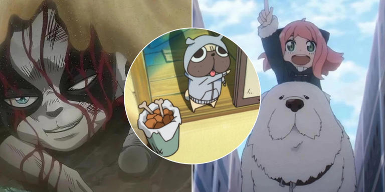 10 Most Loyal Anime Dogs, Ranked 