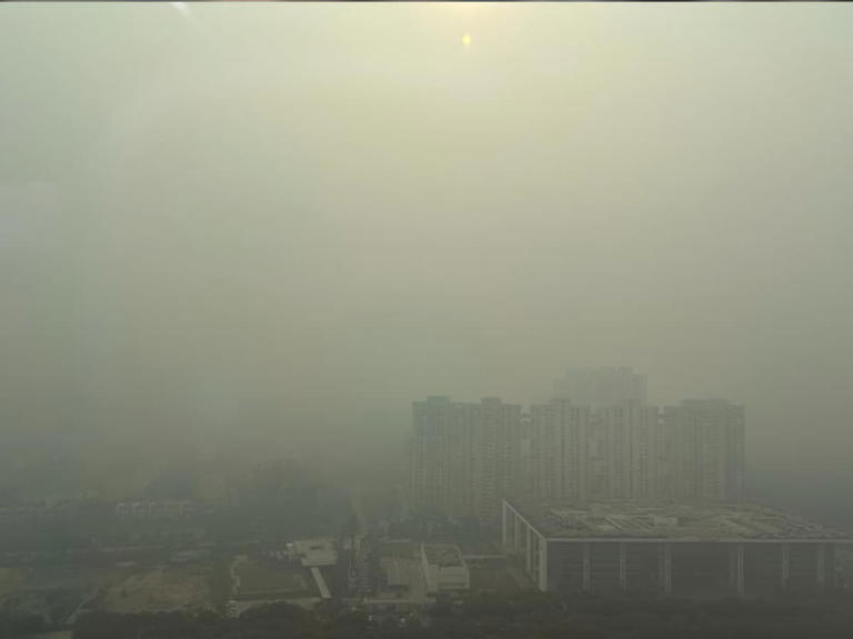 An analysis conducted by the Delhi Pollution Control Committee (DPCC), the capital experiences peak pollution between November 1 and November 15 (Photo: News18)