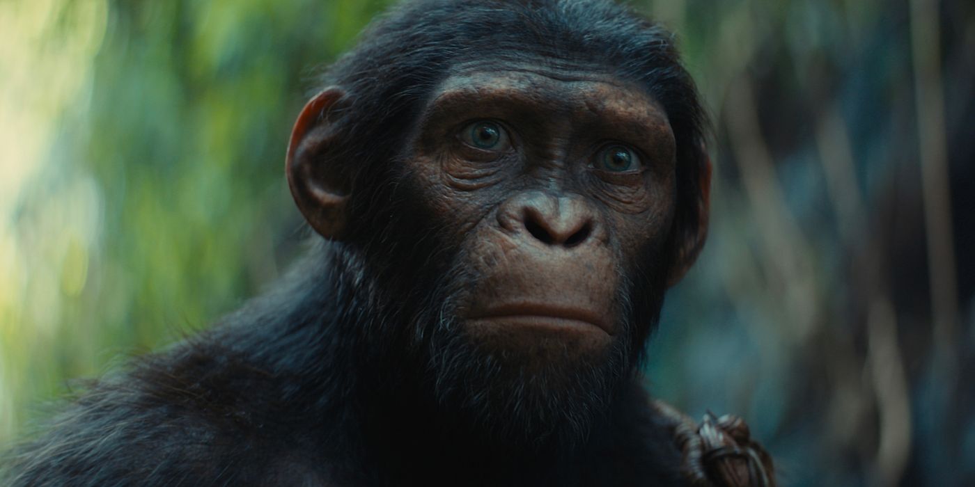 Every of the Apes Movie Ranked