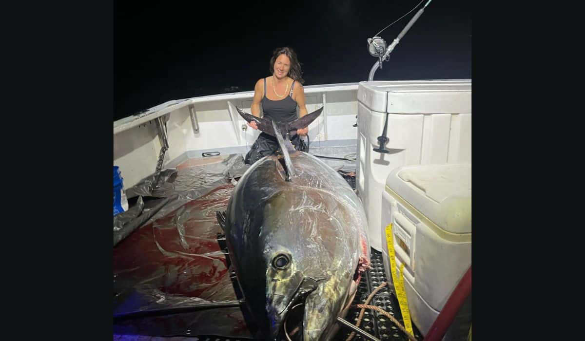 200kg Atlantic bluefin tuna caught in South West waters for first time in  decades