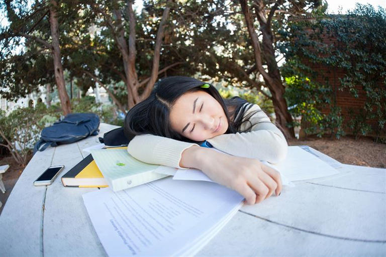 許多人有午睡的習慣，事實上，習慣性午睡的人腦容量較大，也容易提高工作、學習效率。（圖／Pixabay）
