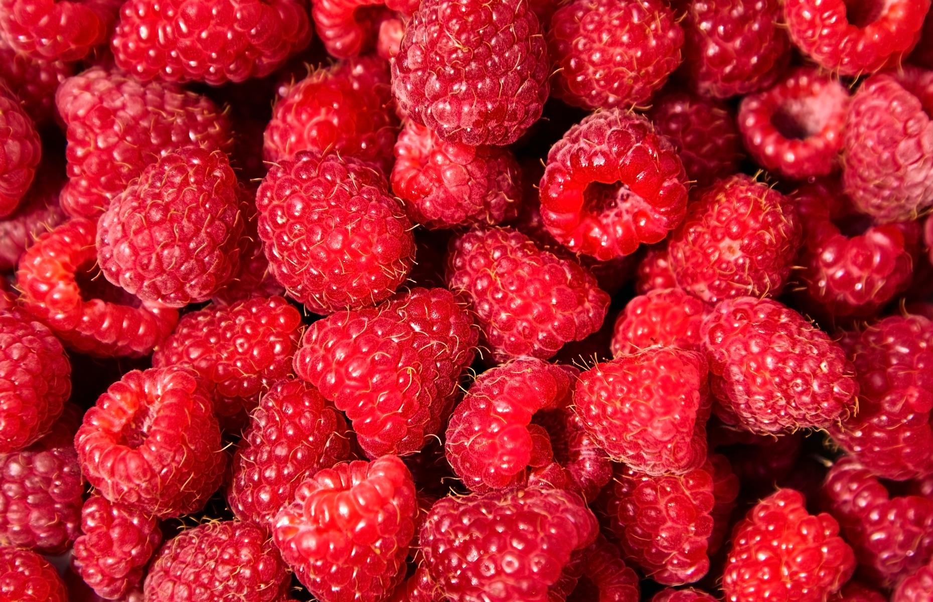 Ranked Our list of the best frozen foods of all time