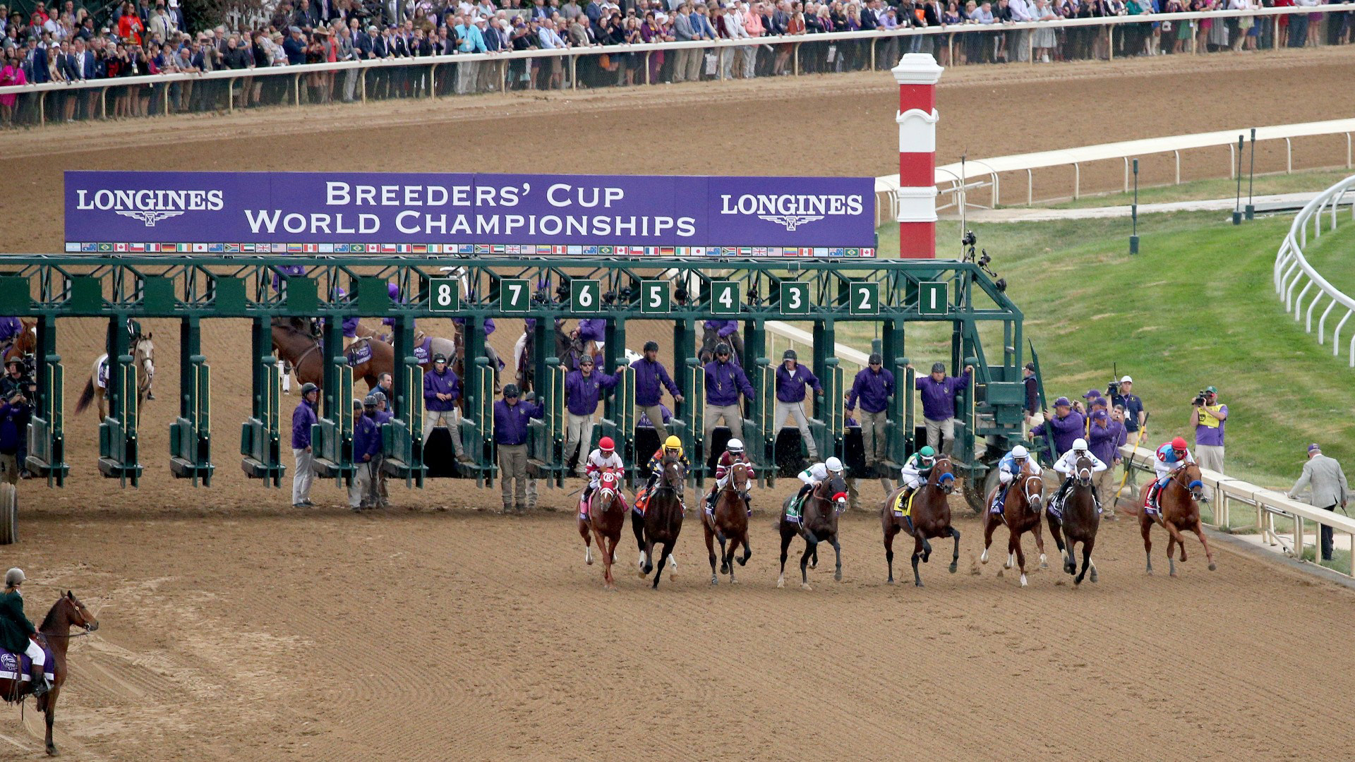 Breeders' Cup schedule 2023 Post times, TV channels, odds, entries