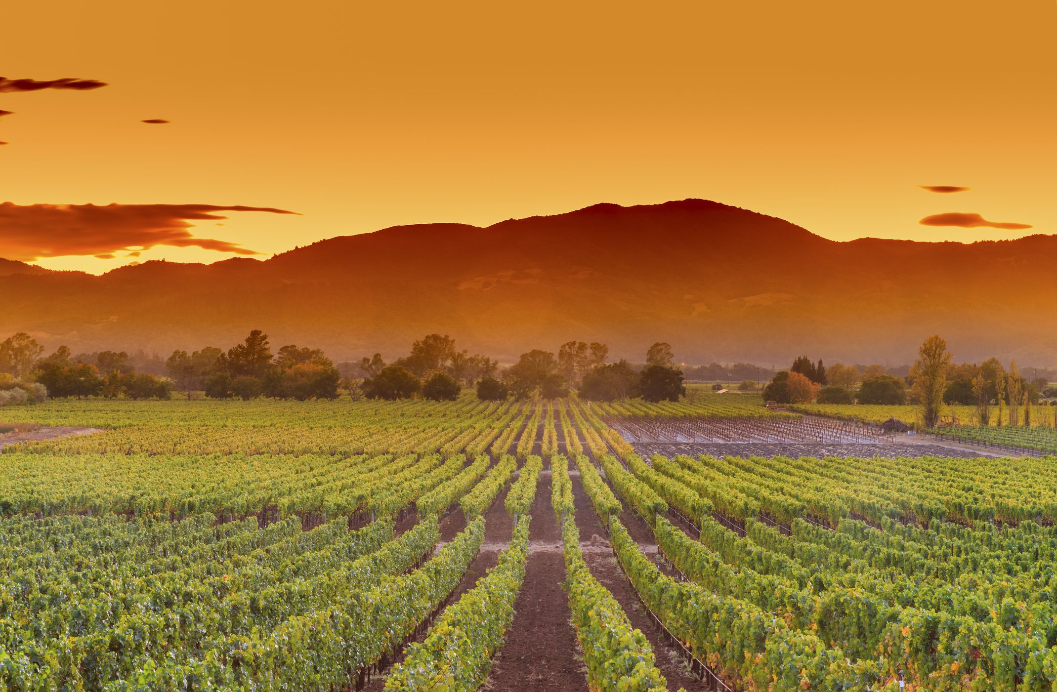 <p>Welcome to VERANDA's <a href="https://www.veranda.com/travel/weekend-guides/">Perfect Weekend</a>, where we show you how to make the most of 48 hours in one of our favorite destinations. This month, we’re Napa-bound to relax and unwind in one of the world’s premier wine-growing regions. Renowned for its vine-covered rolling hills and the exquisite wine that’s a result of the labored landscape, Napa is the ultimate U.S. destination for wine lovers—but make no mistake, the valley has so much more to offer than delicious bottles of vino. </p><p>From a shocking number of Michelin-rated and -starred restaurants and beautiful architecture in the form of tasting rooms to lavish spas nestled among the valley’s verdant landscape and a recently re-developed downtown that cost a whopping $30 million to bring to life, Napa has it all. But be warned: With so much to do in the valley, a quick weekend trip may feel like a tease. Nevertheless, keep reading to learn how to have the perfect weekend in Napa. By the end of it, we have a sneaking suspicion that you’ll be eager to book your next visit. </p>