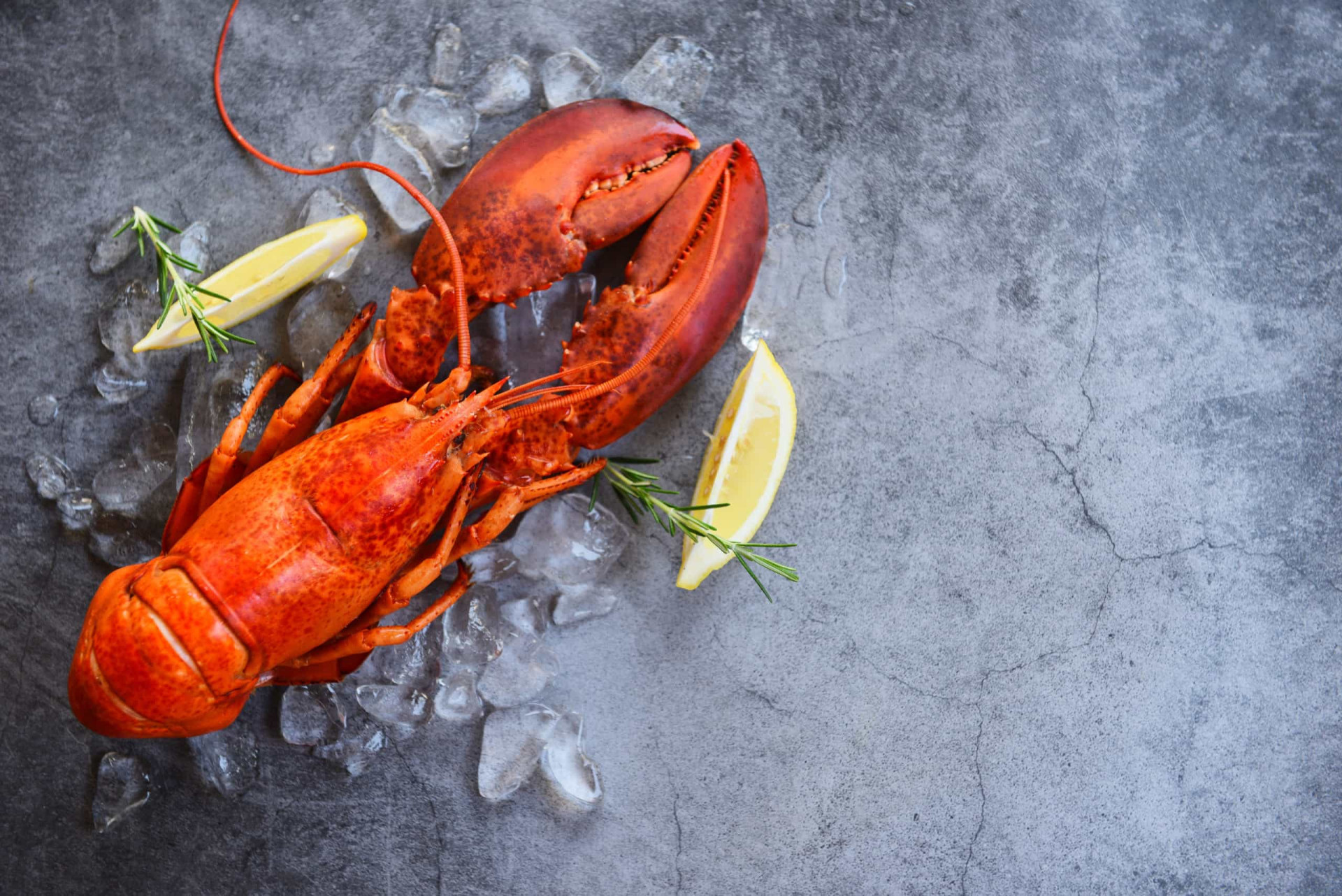 our-5-best-ever-thanksgiving-appetizers-for-a-wow-worthy-start-to-your