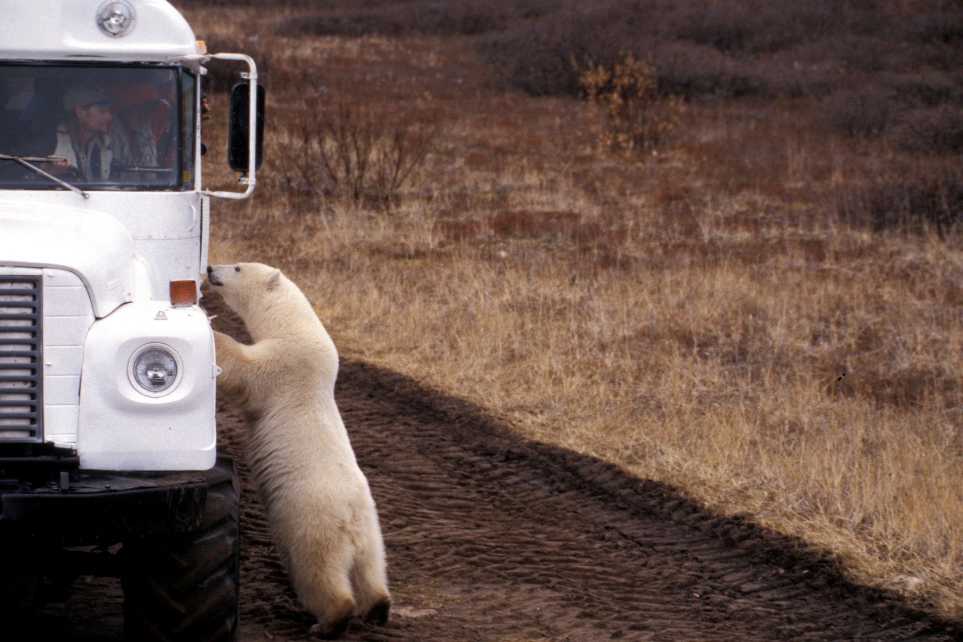 The top early Black Friday deals at Best Buy this week