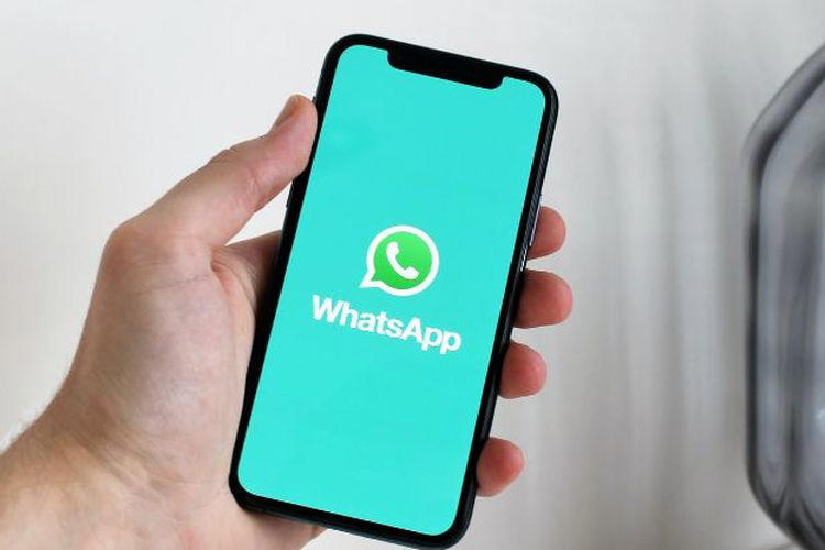 android, whatsapp uji coba fitur balas pesan video dengan video